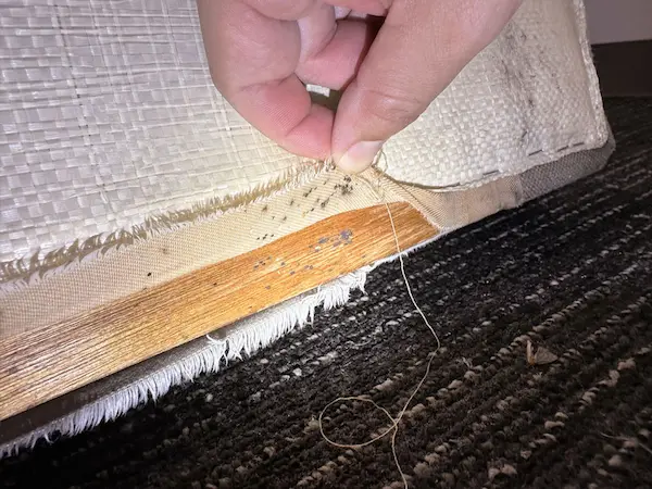 害虫の痕跡調査４