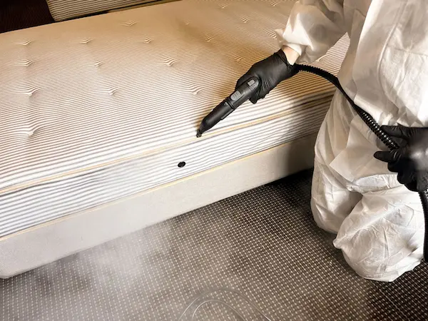 駆除完了後のチェック１